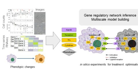 Multiscale dynamical modelling of the tumor microenvironment - Toulouse ...