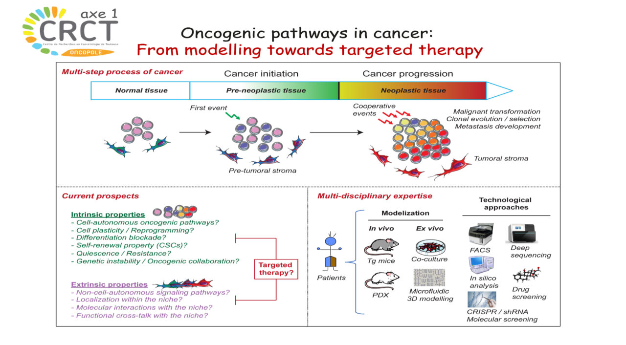 Axis 1 : Oncogenic pathways in cancer: From modelization towards ...
