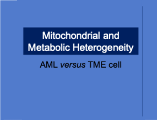 Unravel the spatio-temporal dynamics of metabolic heterogeneity within leukemic and microenvironmental compartments contributing of drug resistance in vivo