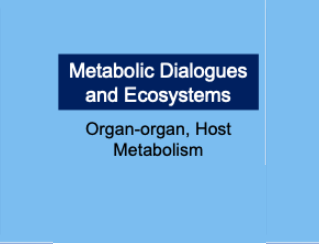 Dissect the impact of systemic host metabolism in drug persistence in vivo