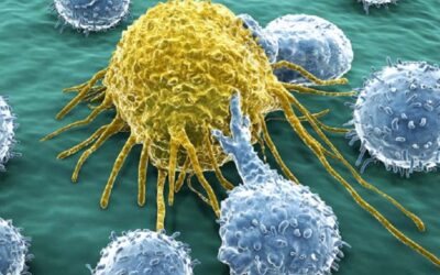 L’immunothérapie en cancérologie