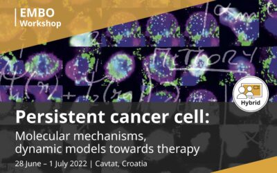 EMBO workshop on Persistent cancer cell