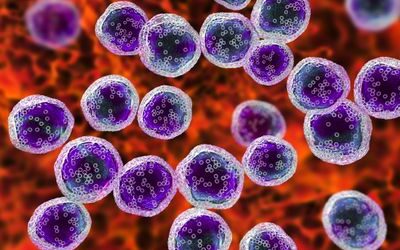 Patient-Derived Lymphoma Spheroids Reveal Predictive Markers of Glofitamab Resistance in Relapsed/Refractory B-NHL