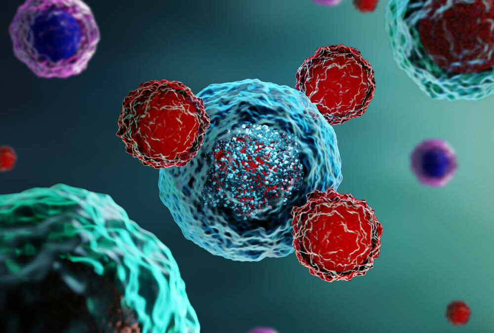Cancer : un mécanisme clé pour améliorer  les immunothérapies identifié par une équipe toulousaine