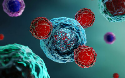 Cancer: a key mechanism for improving immunotherapies identified by a Toulouse team