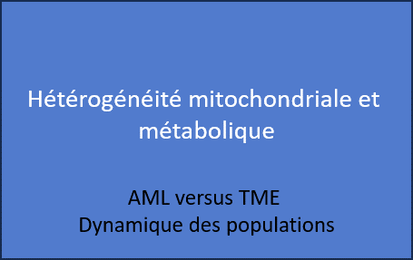 Déchiffrer les dynamiques spatio-temporelles de l’hétérogénéité métabolique au sein des compartiments leucémiques et micro-environnementaux contribuant à la résistance aux traitements in vivo.