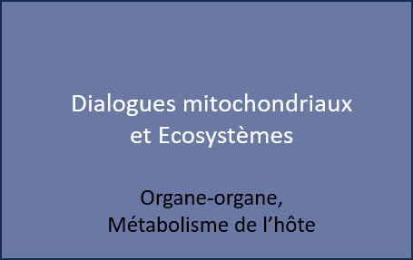 Explorer l’impact du métabolisme systémique de l’hôte sur la persistance aux traitements in vivo.