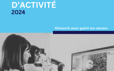 Rapport d’activité CRCT 2024
