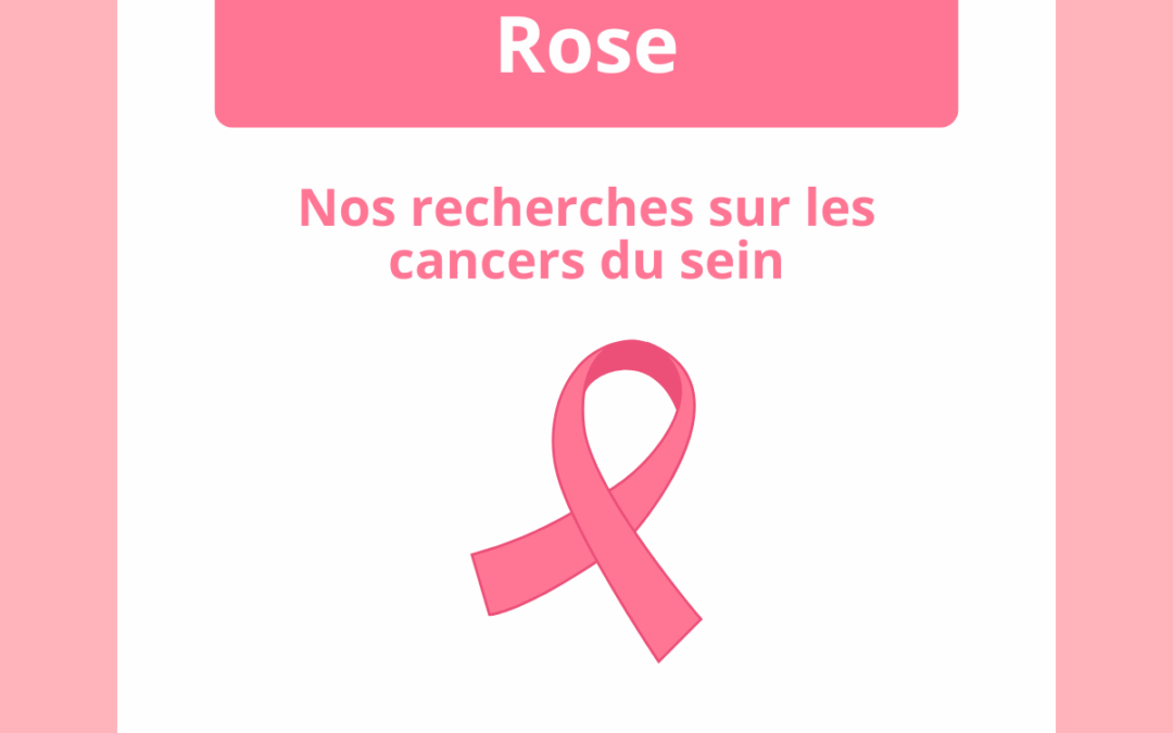 Comprendre et combattre le cancer du sein : les recherches du CRCT