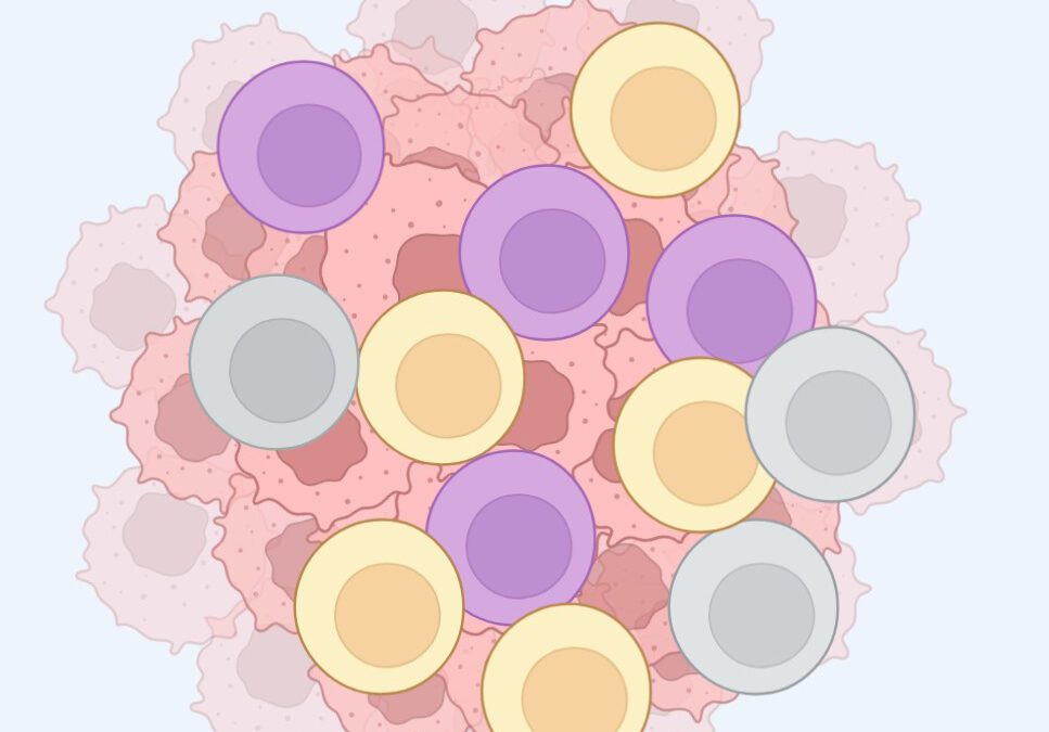 Le rôle de l’immunité antitumorale dépasse le cadre de l’immunothérapie