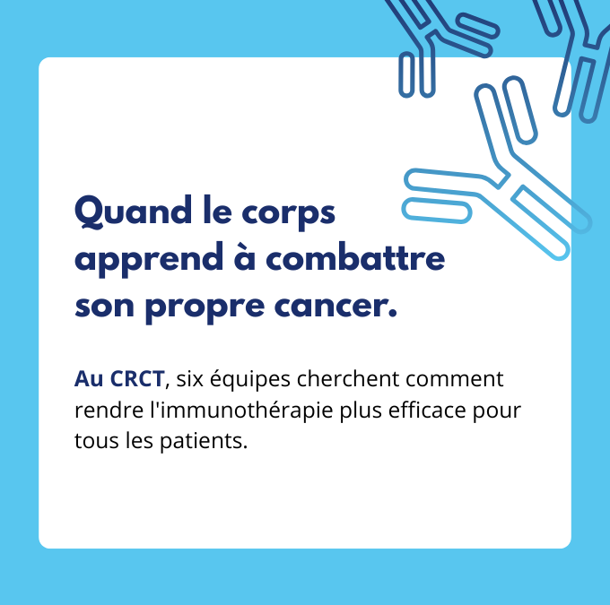 Au CRCT, six équipes au cœur de l&rsquo;immunothérapie