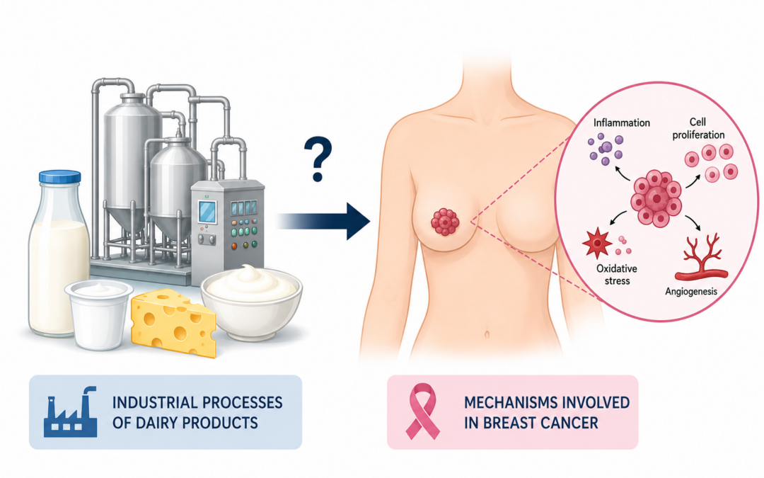 Dairy Processing and Breast Cancer: A Hypothesis-Generating Framework Linking Bioactive Lipid Derivatives to Epidemiological Heterogeneity
